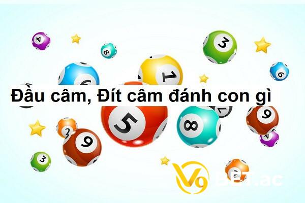 Những con số có tỷ lệ nổ cao khi đít 8 câm